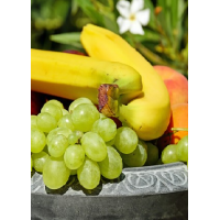 fruitschalen | Catering De Steiger